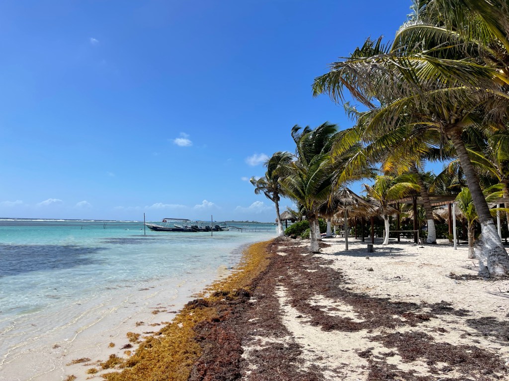 Creating a Culture of Recovery to Mitigate Employee Burnout: Part&nbsp;2